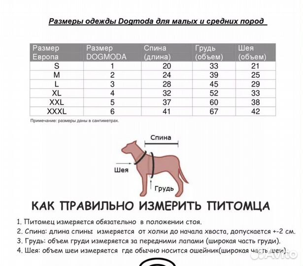 Зимний комбинезон для маленькой собаки девочки