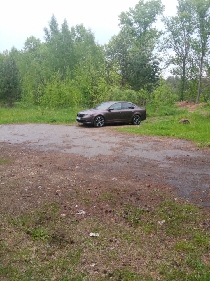 Skoda Octavia: фото владельца