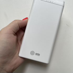 Powerbank cactus новый