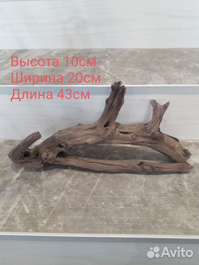 Коряга с Волги