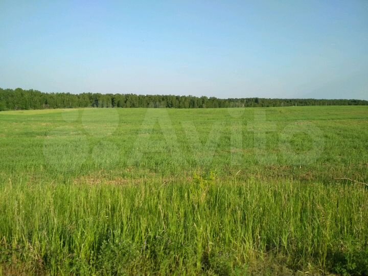 Участок 14 га (СНТ, ДНП)