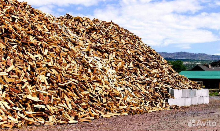 Дрова осина