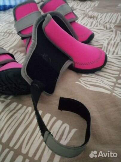 Обувь для собаки