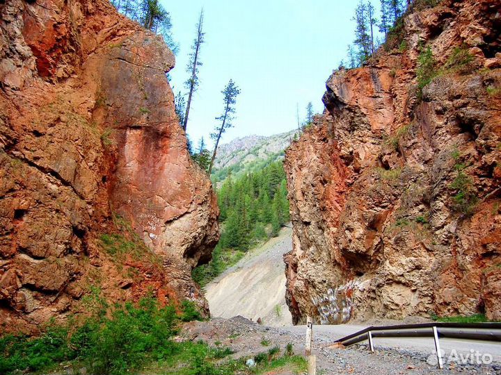 Авторские туры