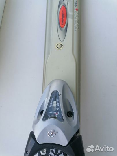 Горные лыжи