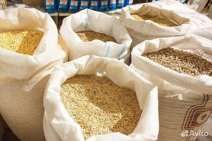 Корма для животных