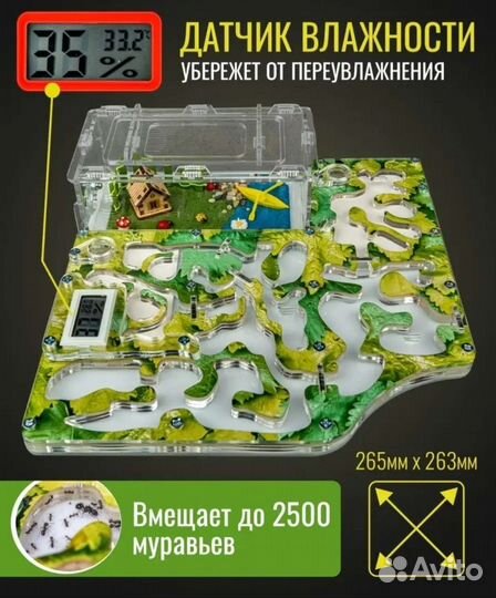 Муравьиная ферма с муравьями