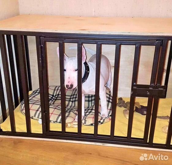 Вольеры для кошек и собак