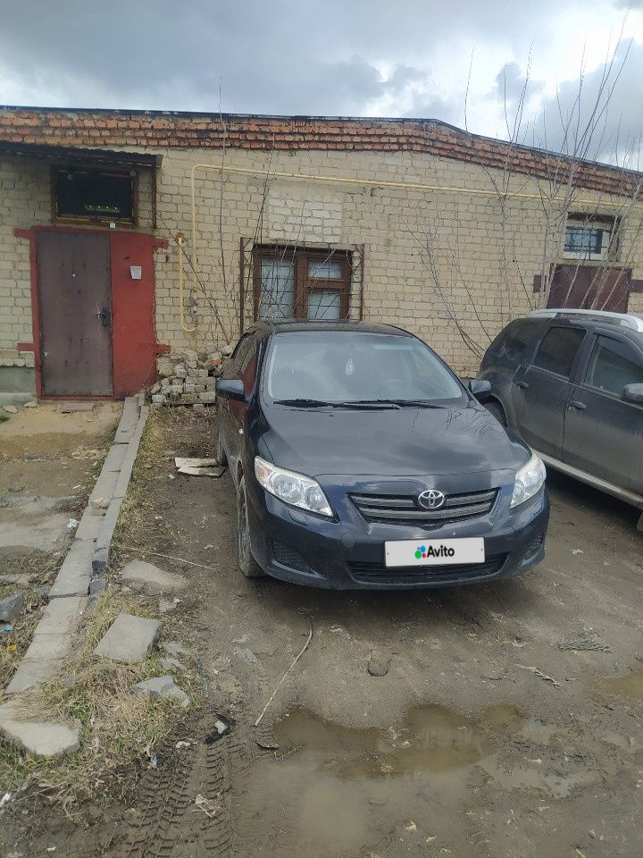 Toyota Corolla: фото владельца
