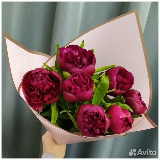 Пионы белые доставка