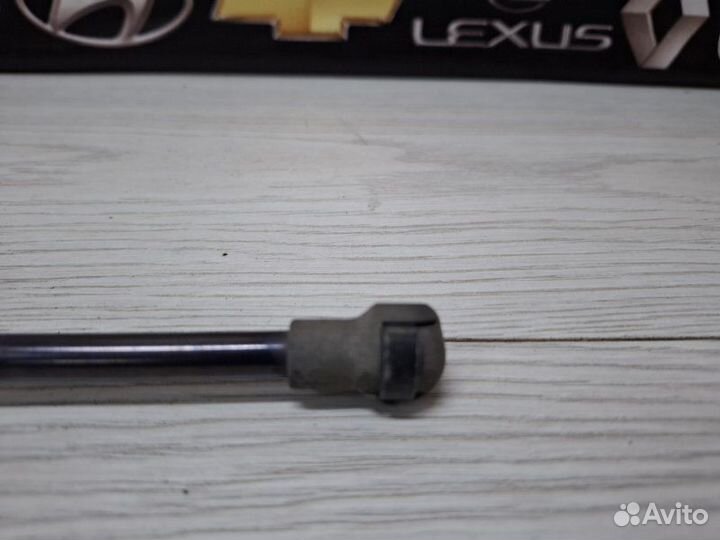 Амортизатор двери багажника Bmw X5 E53 2004