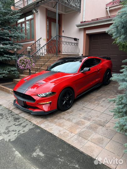 Ford Mustang 2.3 AT, 2022, 11 878 км