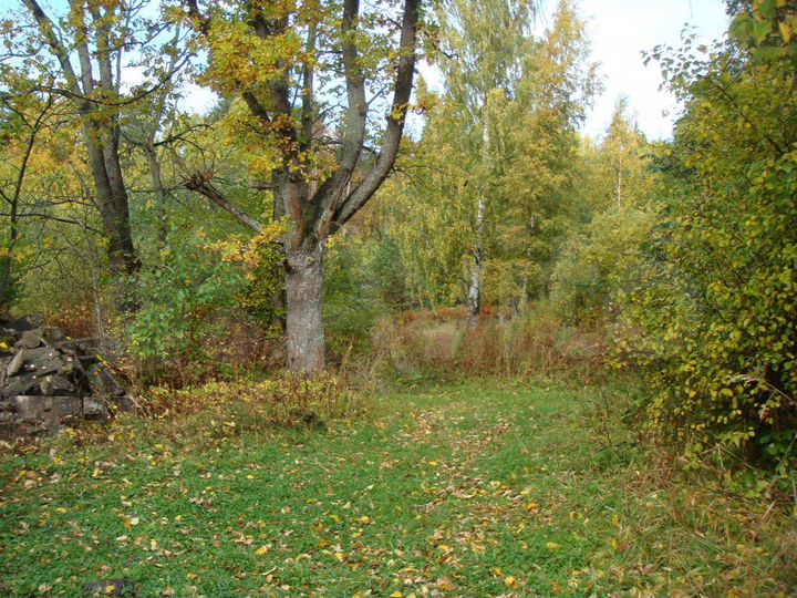 Участок 75 сот. (ИЖС)