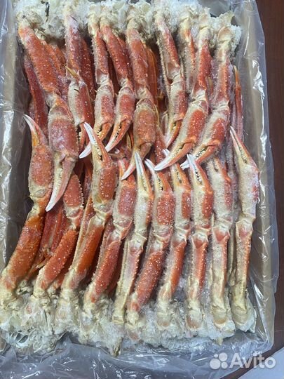 Краб стригун опилио