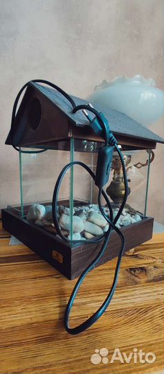 Аквариум c флорариумом