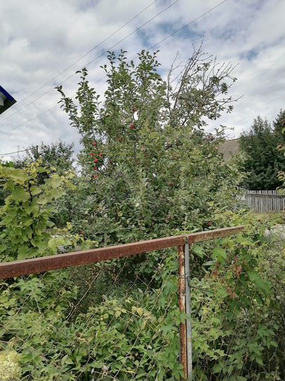 Дом 54 м² на участке 7,5 сот.