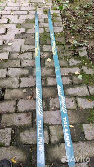 Беговые лыжи Tallinn