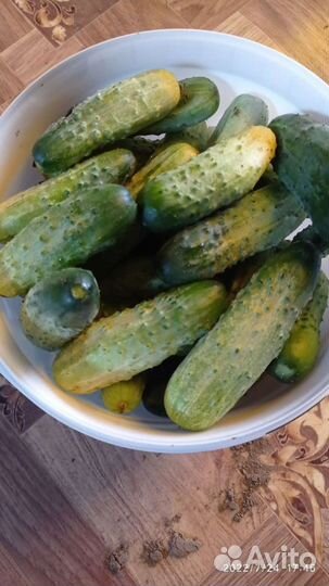 Яблоки, Огурцы, Кабачки