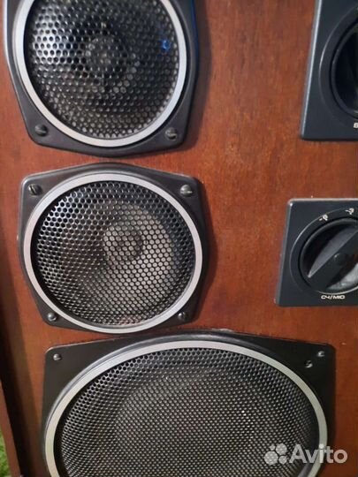 Акустическая система Радиотехника С-90