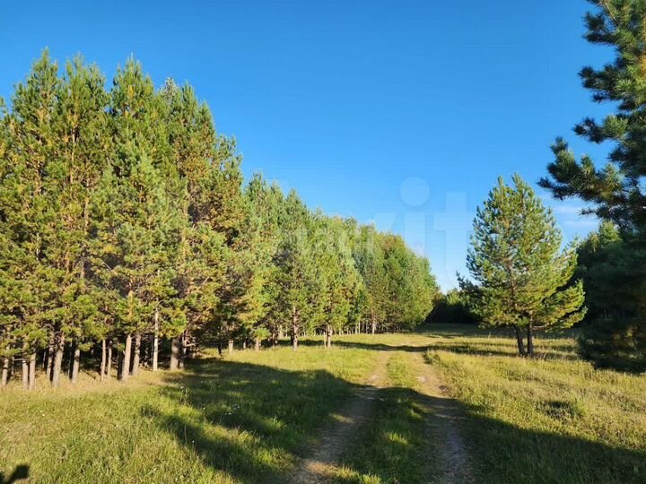 Участок 12,7 сот. (ИЖС)