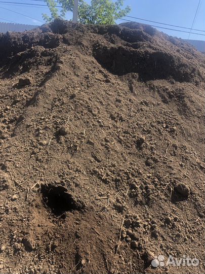 Просеянная земля