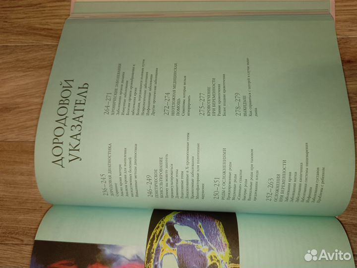 Ваша библия беременности