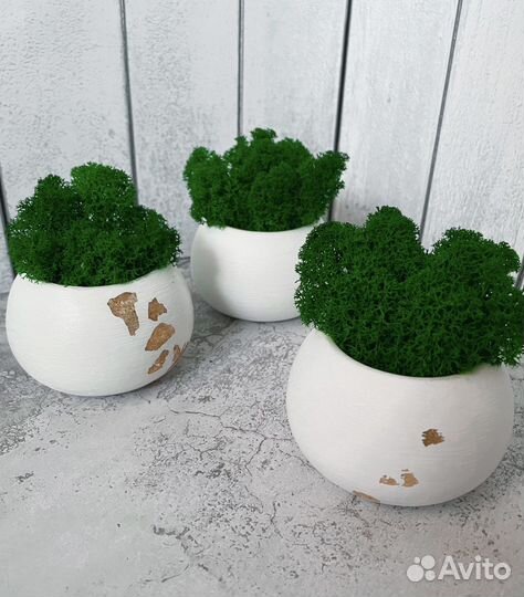 Гипсовое кашпо со мхом и без, подарок