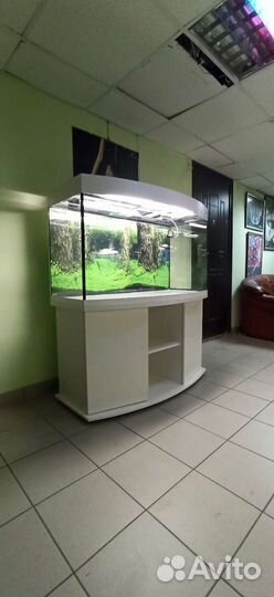 Аквариум400 свет биофильтр фон подставка