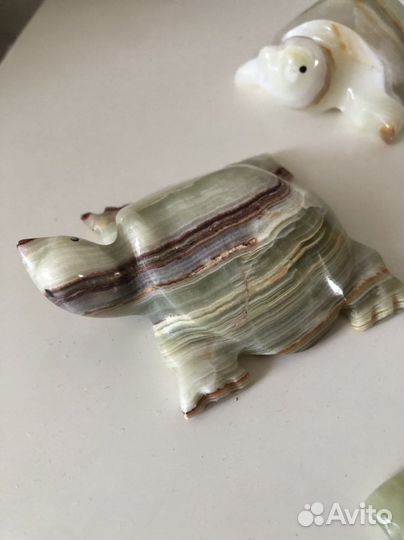 Черепаха оникс