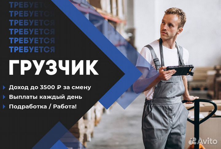 Грузчик в магазин м. Локомотив