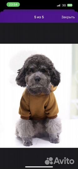 Толстовка, худи для собак XS