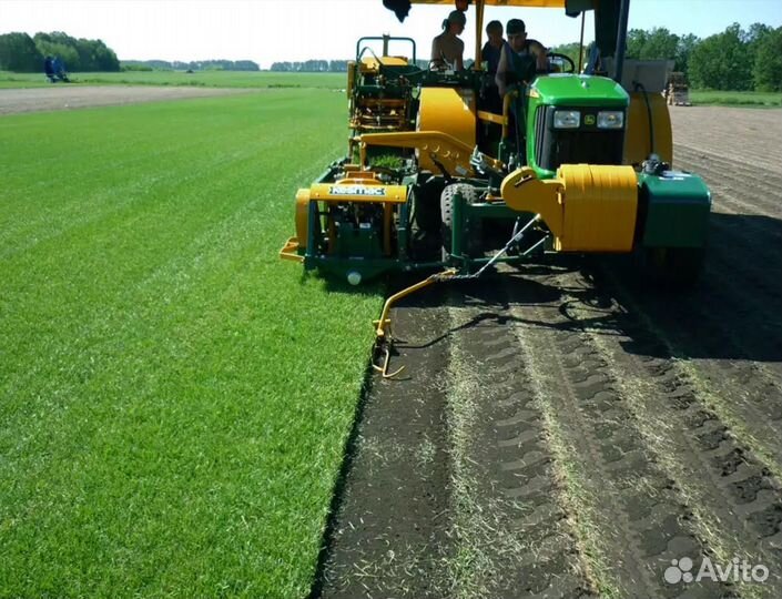 Газон рулонный