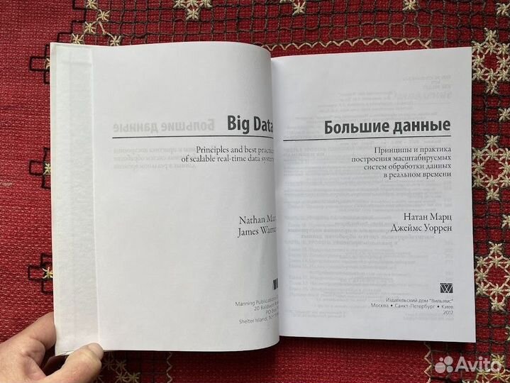 Большие данные. Принципы и практика построения