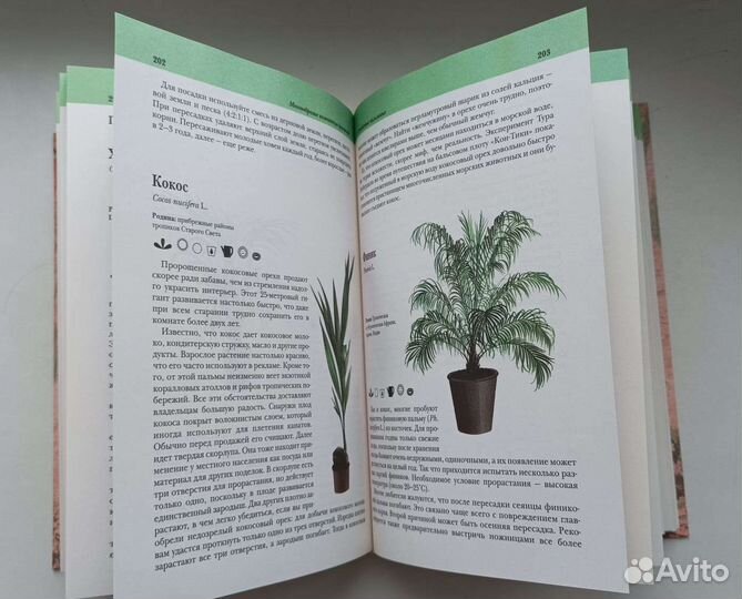 Подарочная книга, Комнатные растения