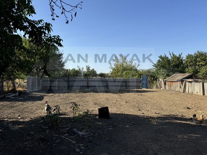 Участок 25 сот. (личное подсобное хозяйство (лпх))