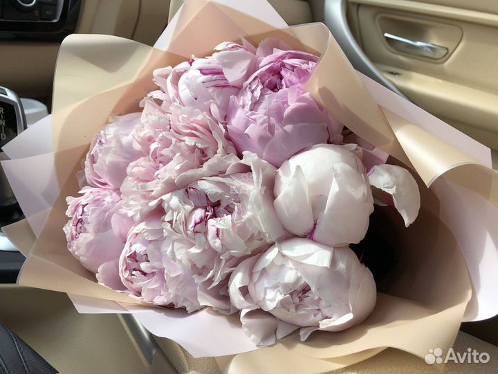 Доставка пионов букеты