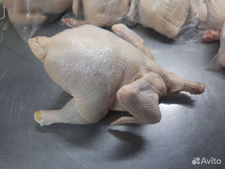 Домашнее мясо кур бройлеров предзаказ