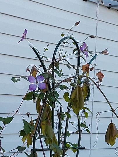 Дача 136 м² на участке 5 сот.