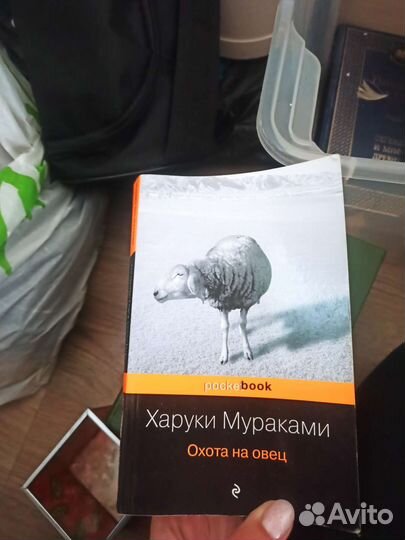 Книга Мураками Охота на овец