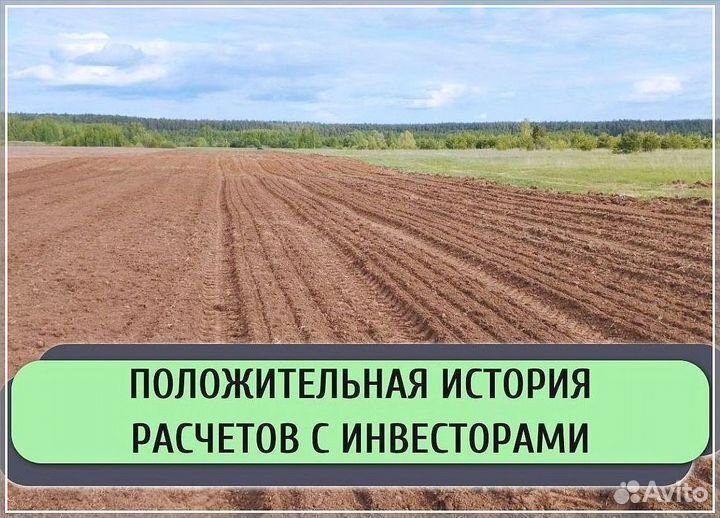 Привлекаем инвестиции в действующий бизнес