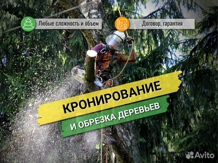 Спил и кронирование деревьев, расчистка участков