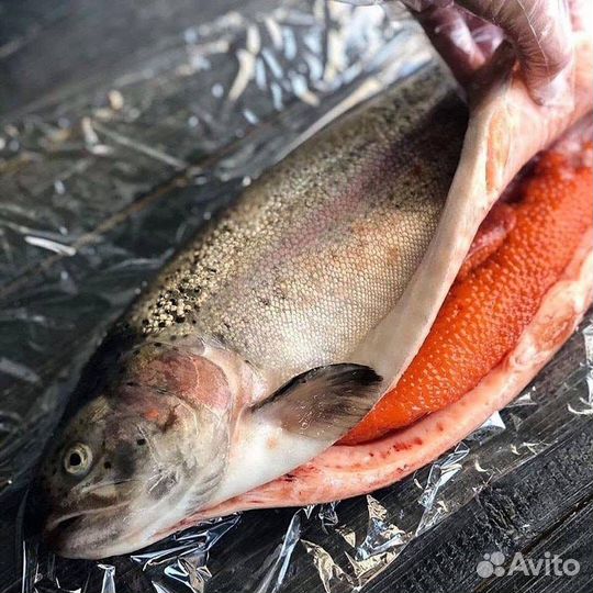 Охлажденная форель оптом