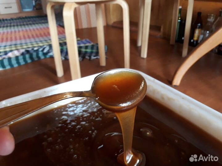 Мед алтайский 2022 года