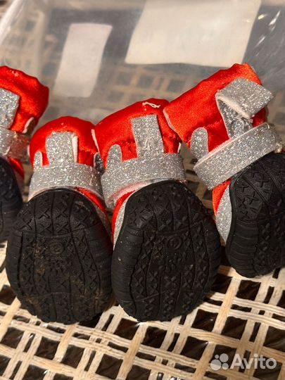 Ботинки для маленьких собак 3