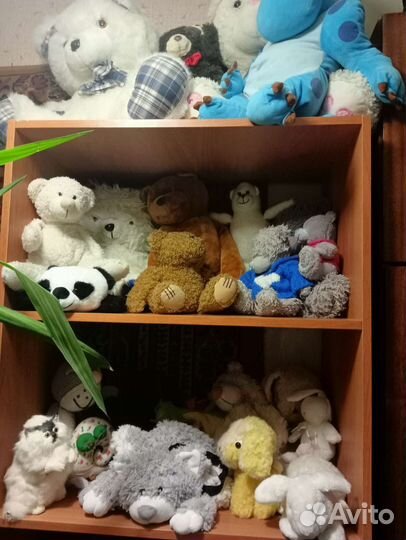 Игрушки мишки плюшевые