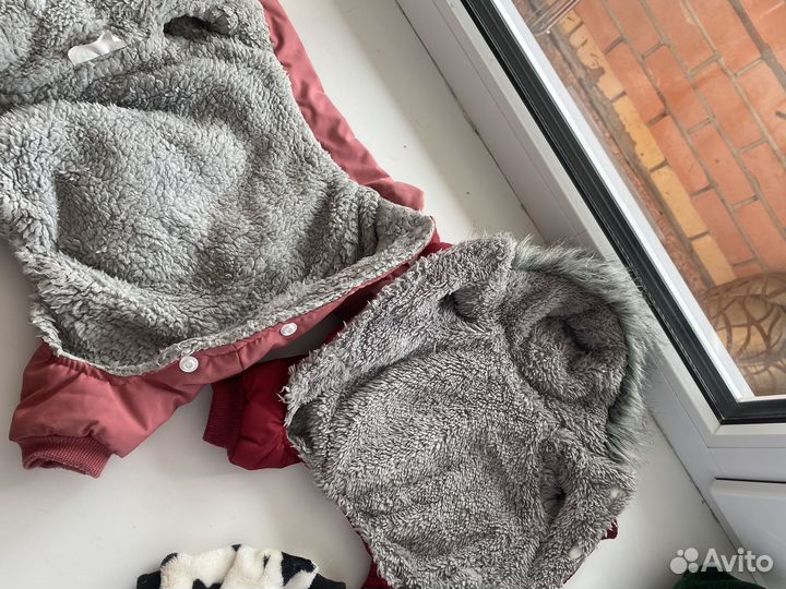 Одежда для собак