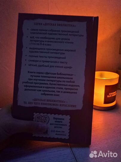 Книга Владимир Железников 