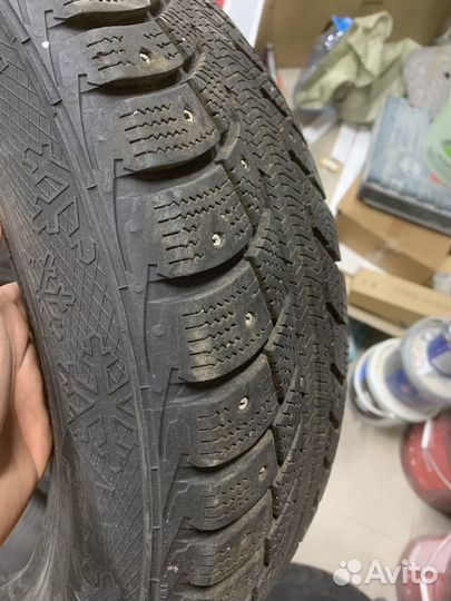 Gislaved Nord Frost 5 185/65 R15