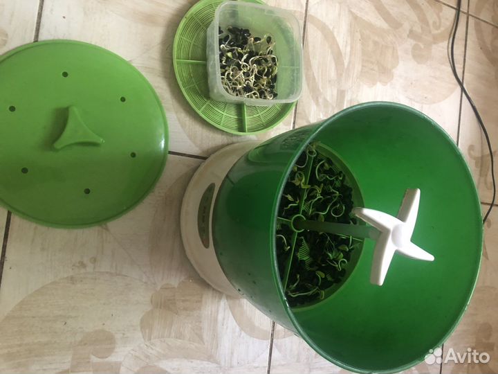 Проращиватель ростков, вода раз 15 минут