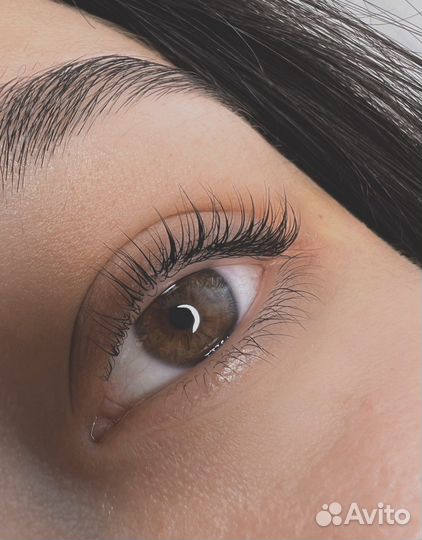 Брови Нерюнгри